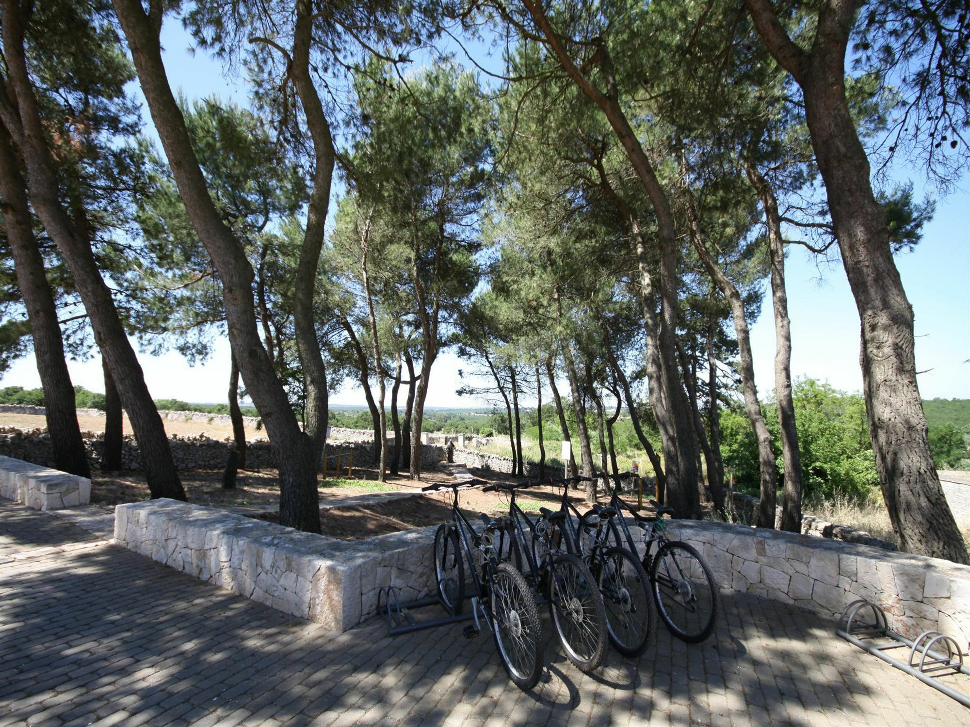 Apulia Victor Country Hotel Alberobello Exterior photo
